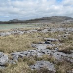 Mullaghmore, Burren National Park