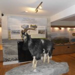 Burren National Park Information Point, Corofin, Co Clare